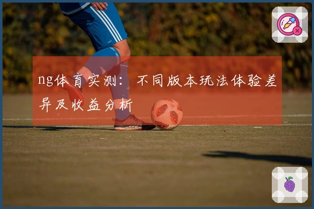 ng体育实测：不同版本玩法体验差异及收益分析