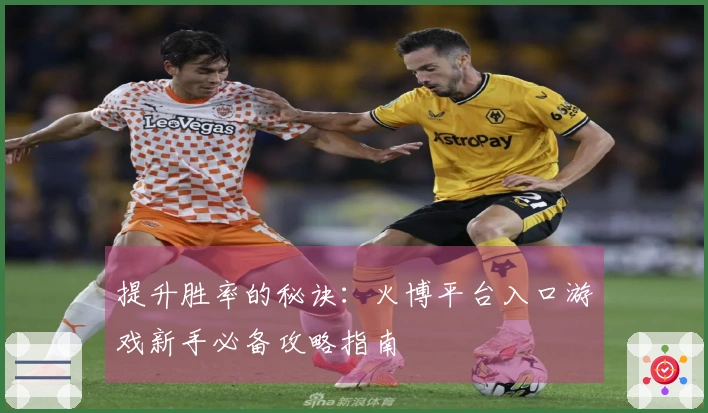 提升胜率的秘诀：火博平台入口游戏新手必备攻略指南