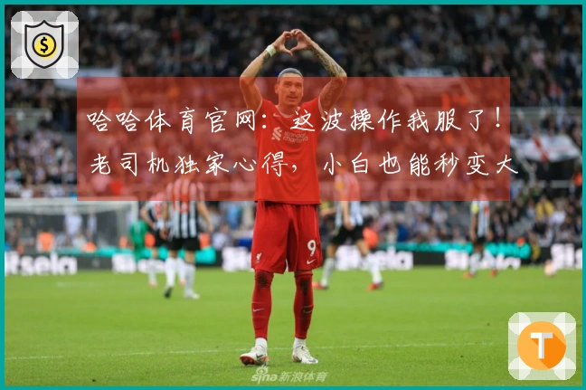 哈哈体育官网：这波操作我服了！老司机独家心得，小白也能秒变大神！